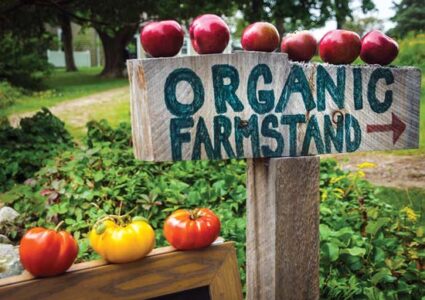 Guide to Planning Local Food Systems Image